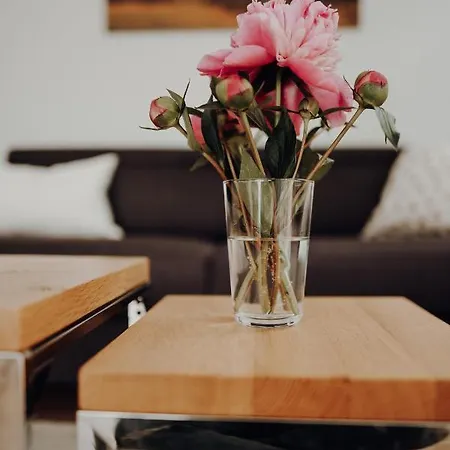 Alte Waescherei Lägenhet